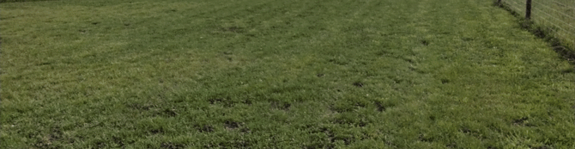 Cinder Hill Farm